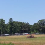 11209645_714437195331586_6346965981001048734_n