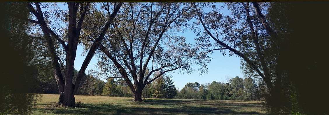 Raising Whitetail Deer With Superior Genetics